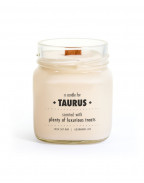 A Candle for TAURUS