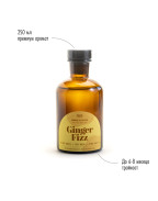 Дифузер GINGER FIZZ 250ml