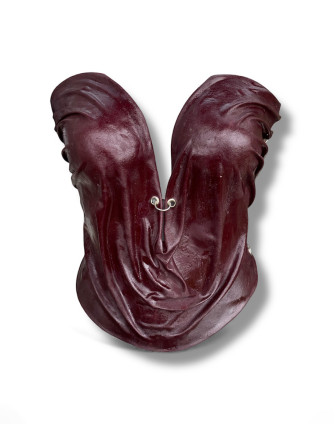 Корсет CRIMSON THORN