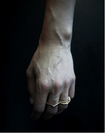 Златен двоен пръстен MONETA