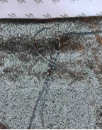 Рокля PARIS SHINES SHINES