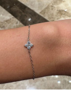 Гривна MAURITIUS